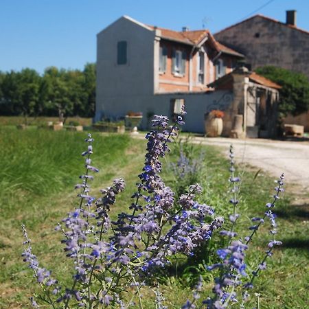 Le Mas Marguerite Арль Экстерьер фото